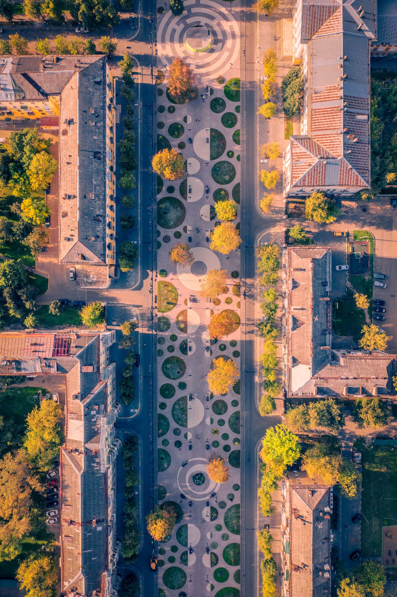 Центральная аллея — фото 3